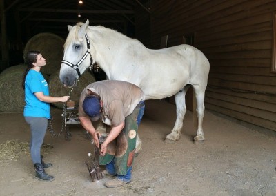 Helping with Farrier